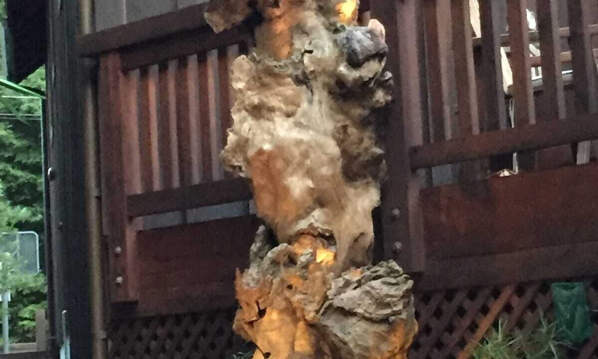 Photo of Others in Guerneville