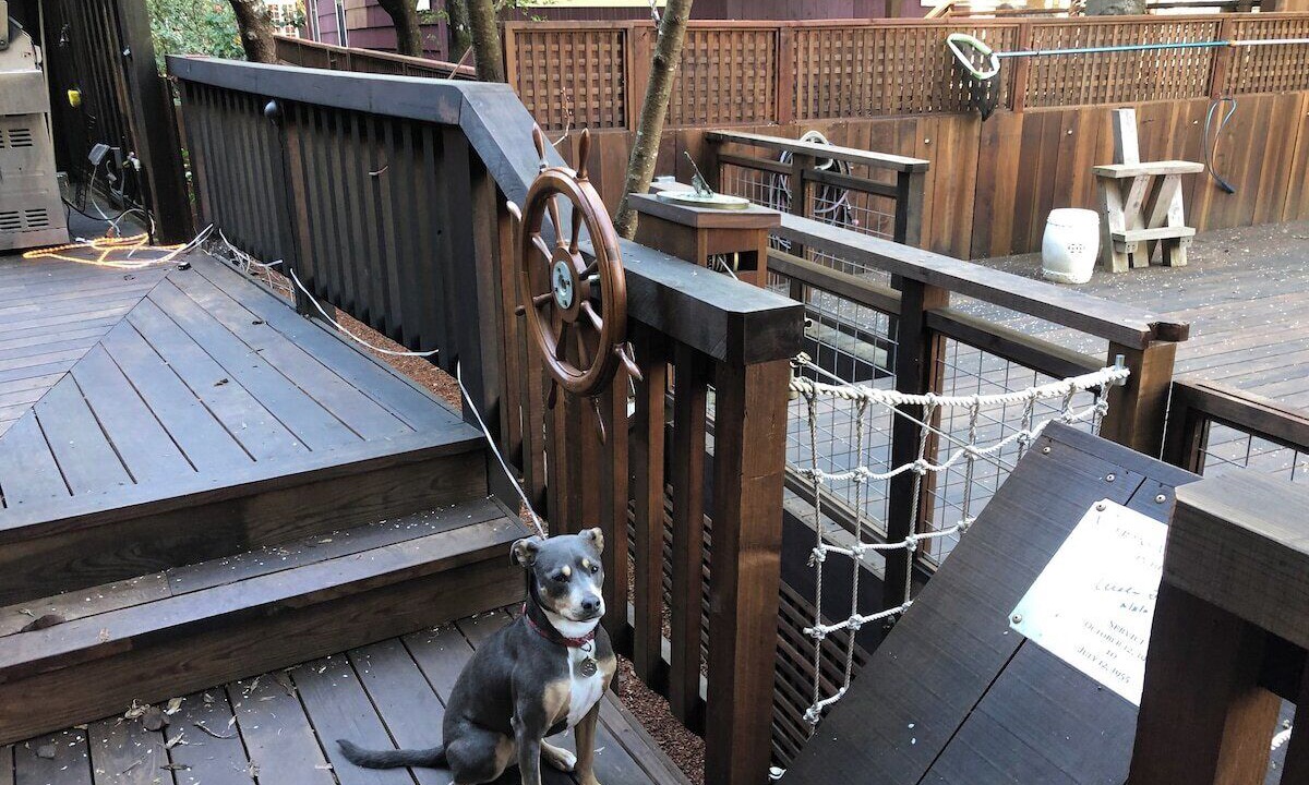 Photo of Outdoor in Guerneville