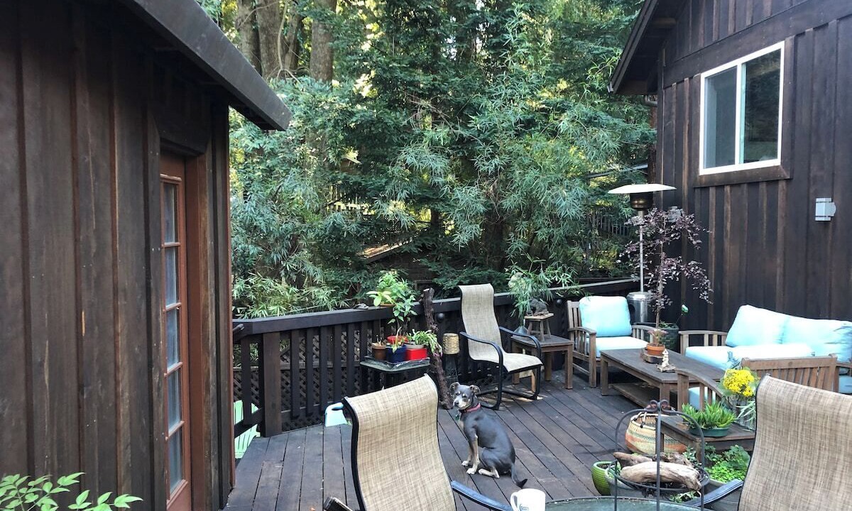 Photo of Others in Guerneville
