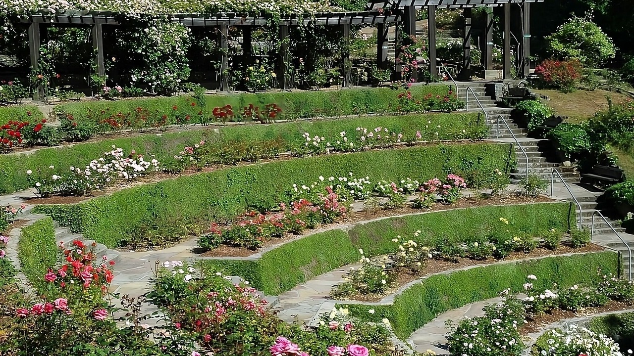 Photo of Outdoor in Berkeley