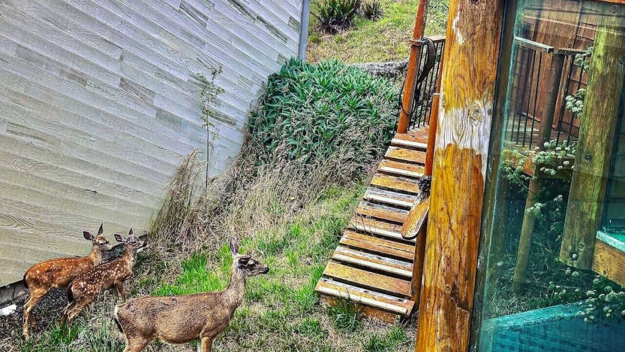 Photo of Outdoor in Dillon Beach
