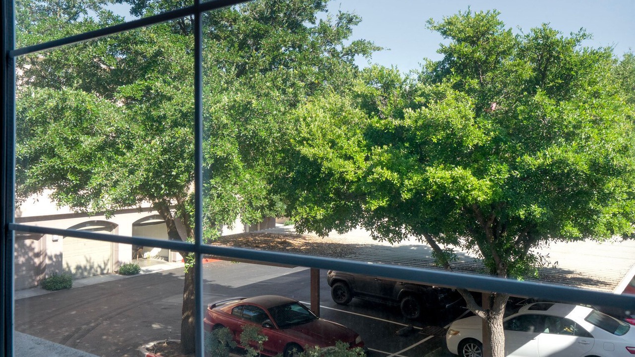 Photo of Others in South San Jose