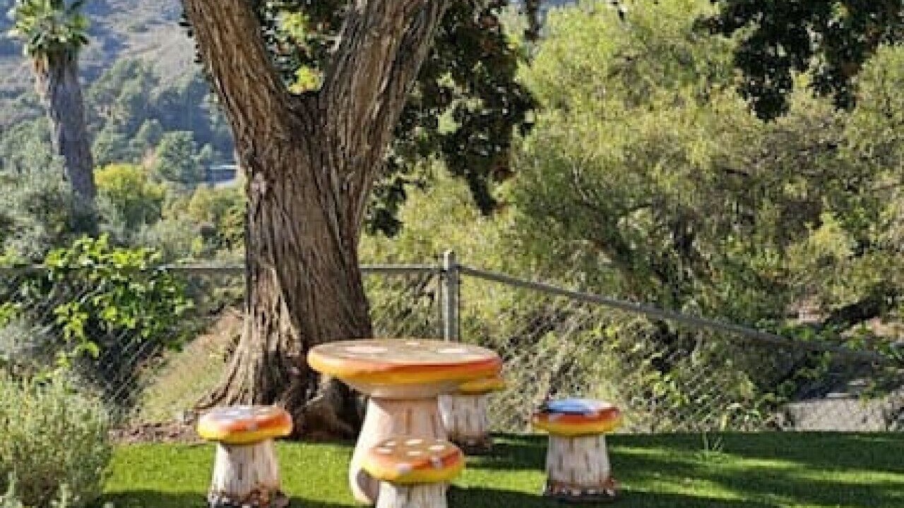 Photo of Outdoor in Fallbrook
