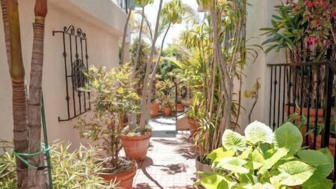 Photo of Outdoor in Loma Portal