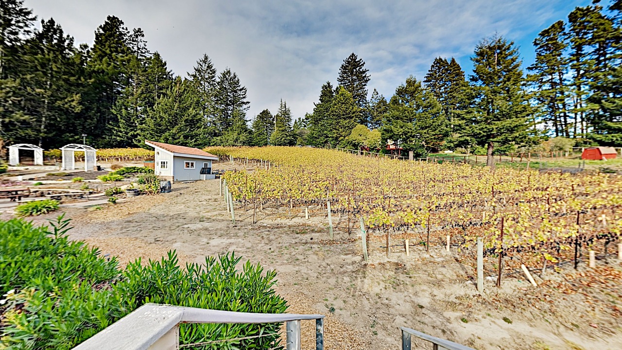 Photo of Outdoor in Freestone