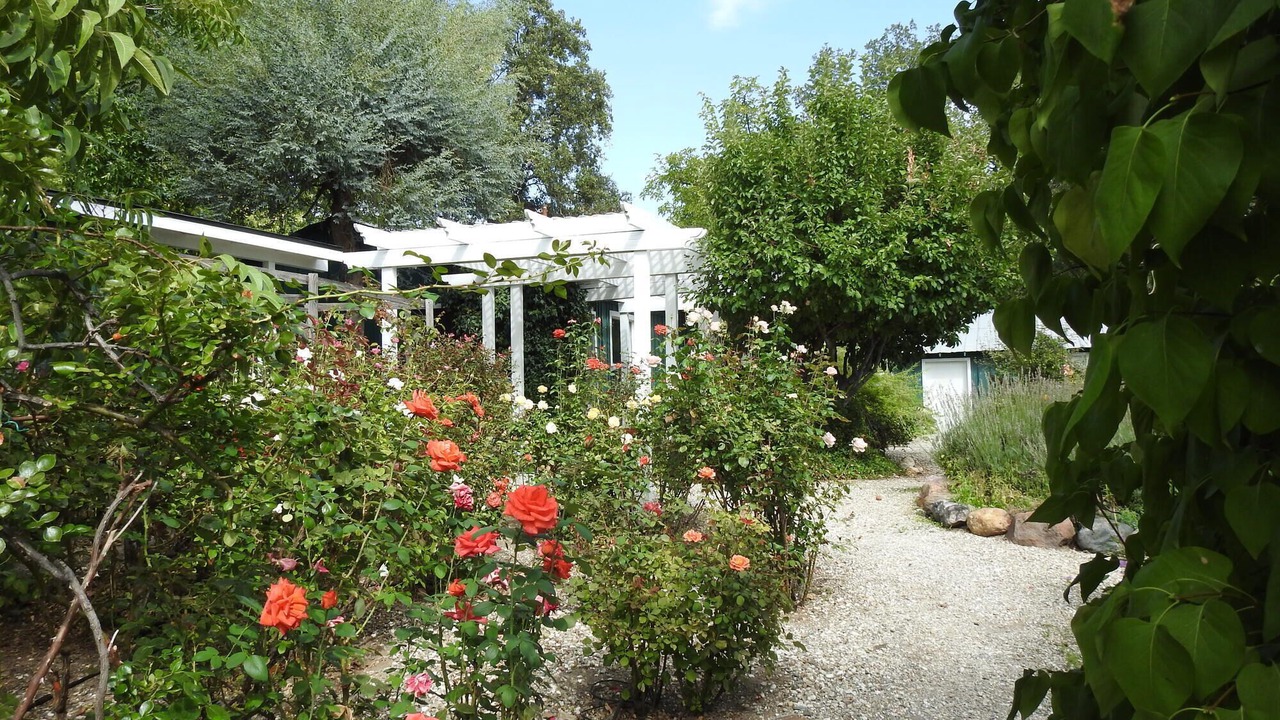 Photo of Outdoor in Douglas Flat