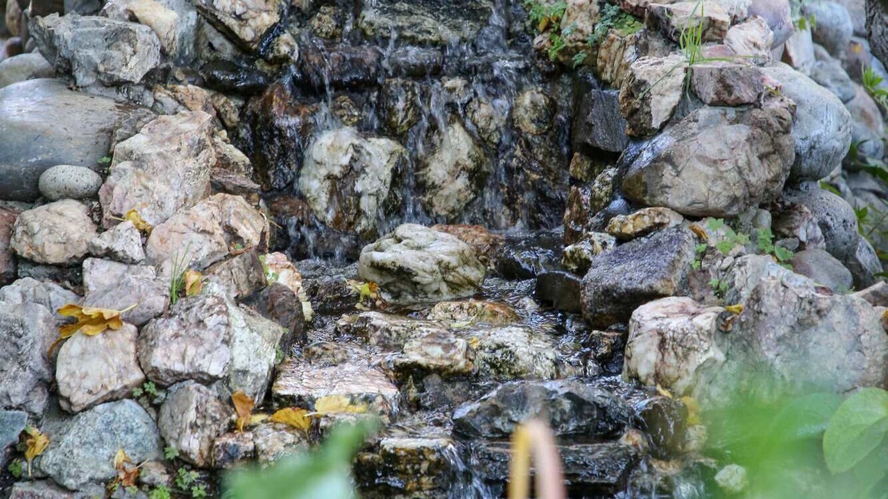 Photo of Outdoor in Douglas Flat