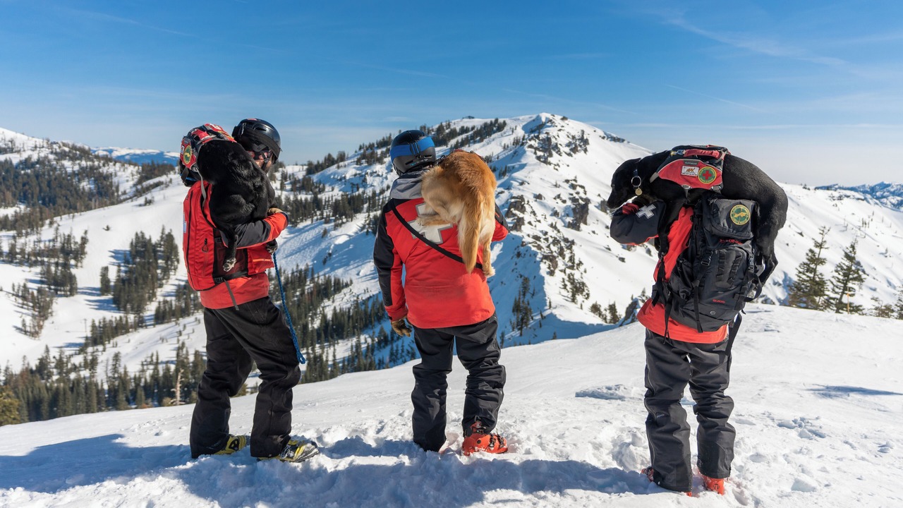 Photo of Others in Sugar Bowl Resort