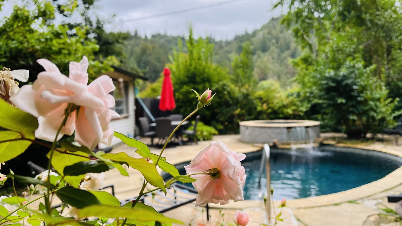 Photo of Others in Guerneville