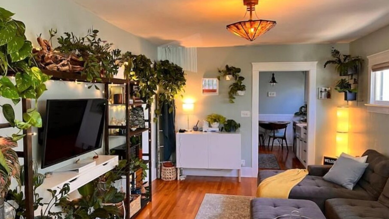Photo of Livingroom in North Park