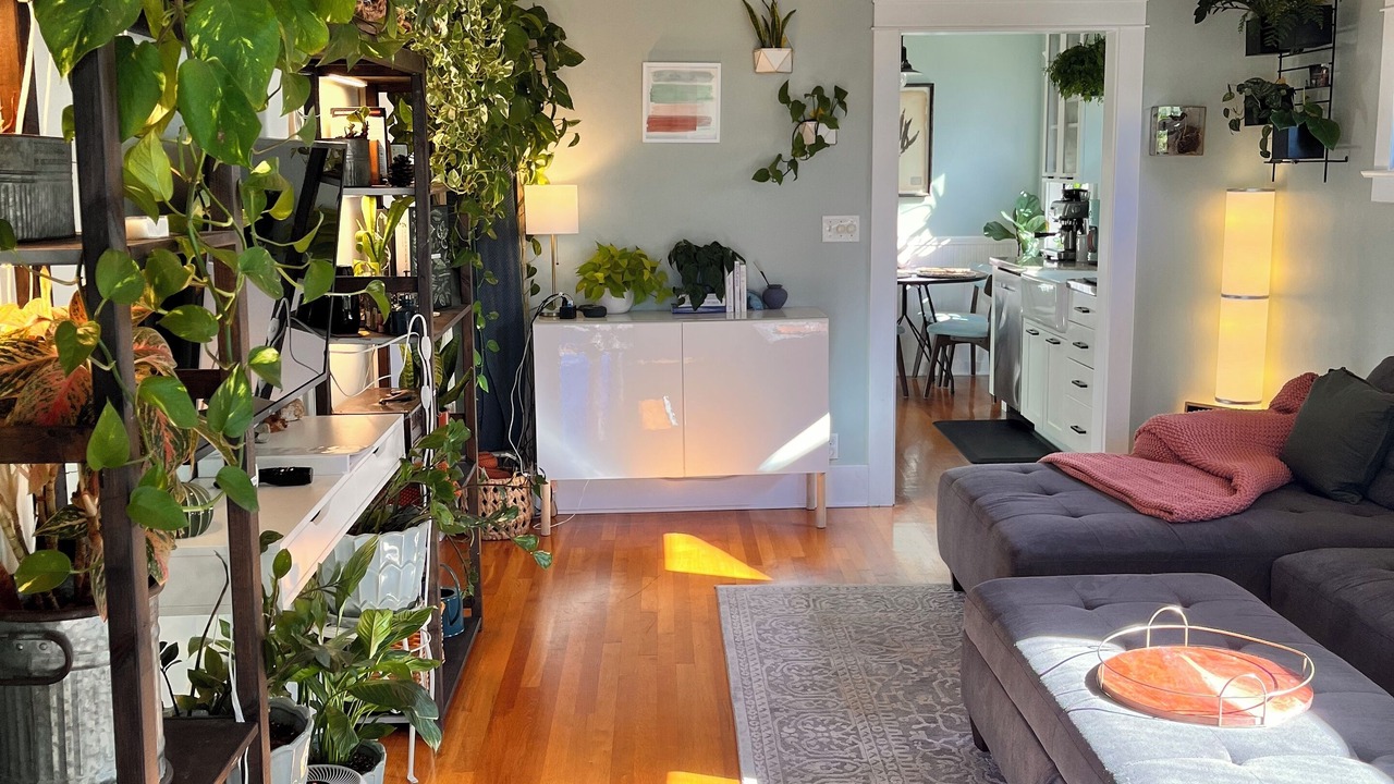 Photo of Livingroom in North Park