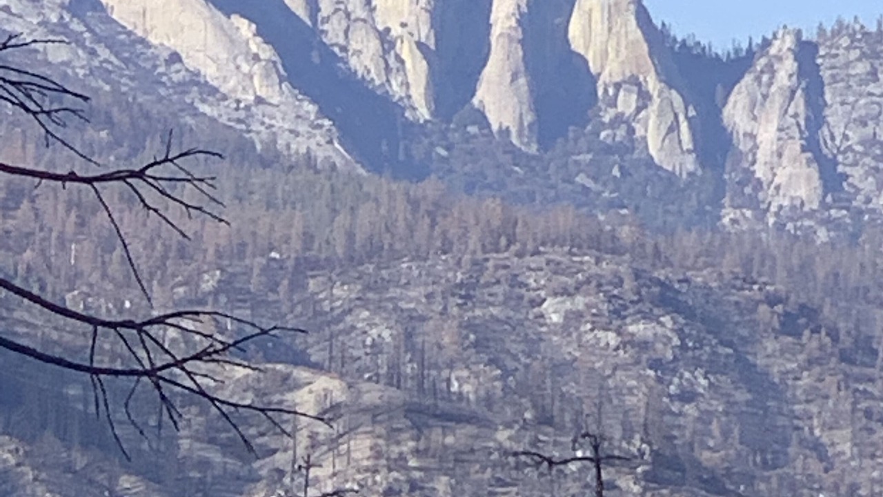 Photo of Others in Ponderosa
