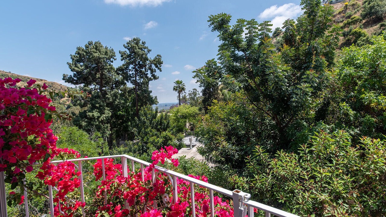 Photo of Outdoor in Hollywood Hills West