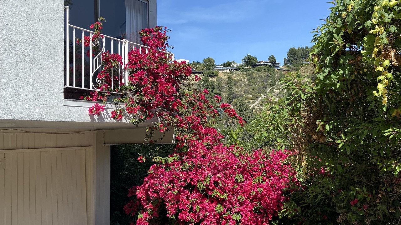 Photo of Outdoor in Hollywood Hills West