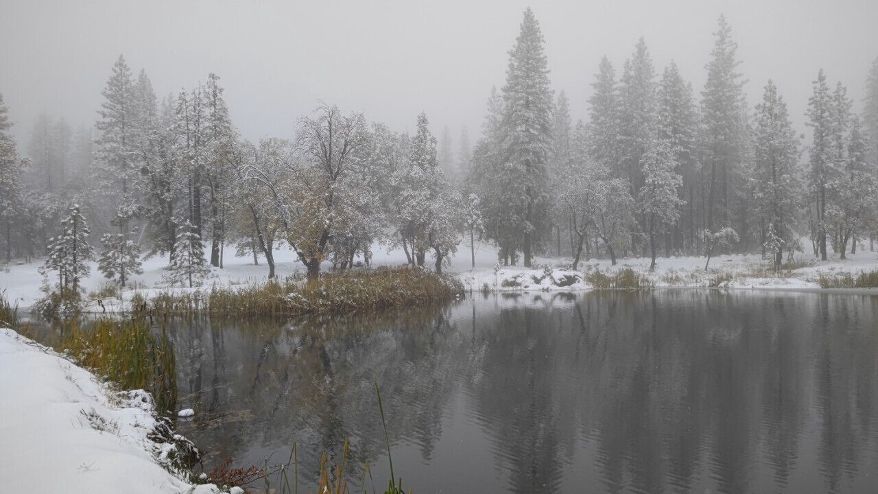 Photo of Others in North Fork