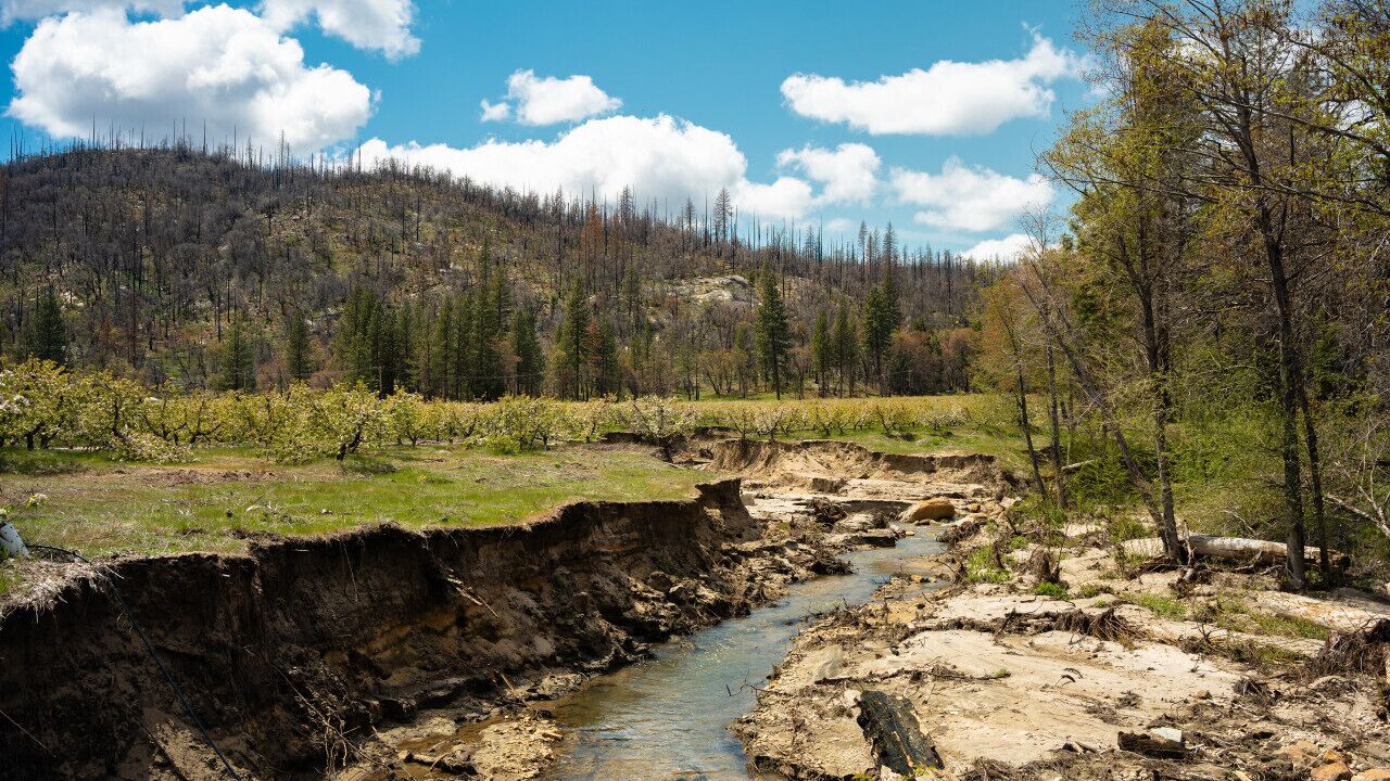 Photo of Outdoor in North Fork