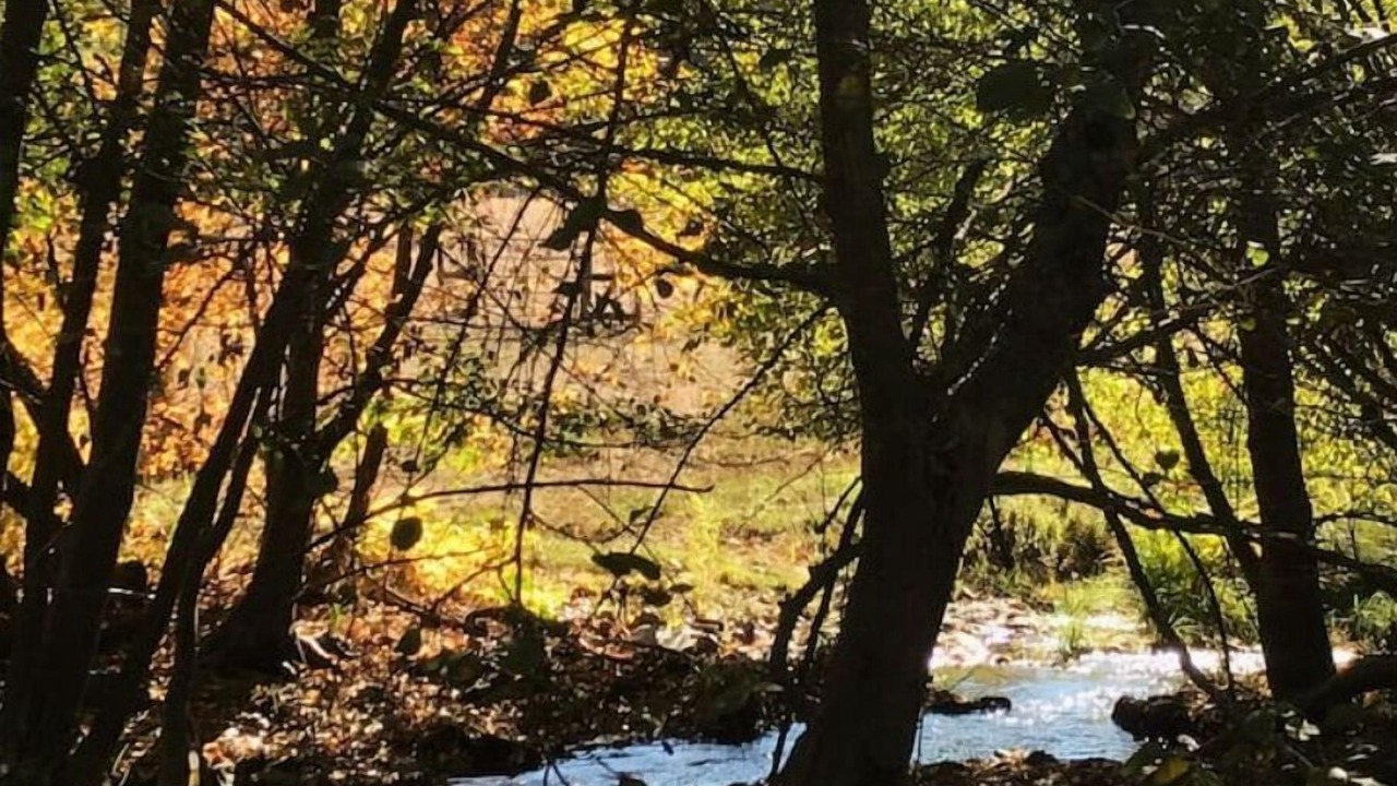 Photo of Others in Alta Sierra