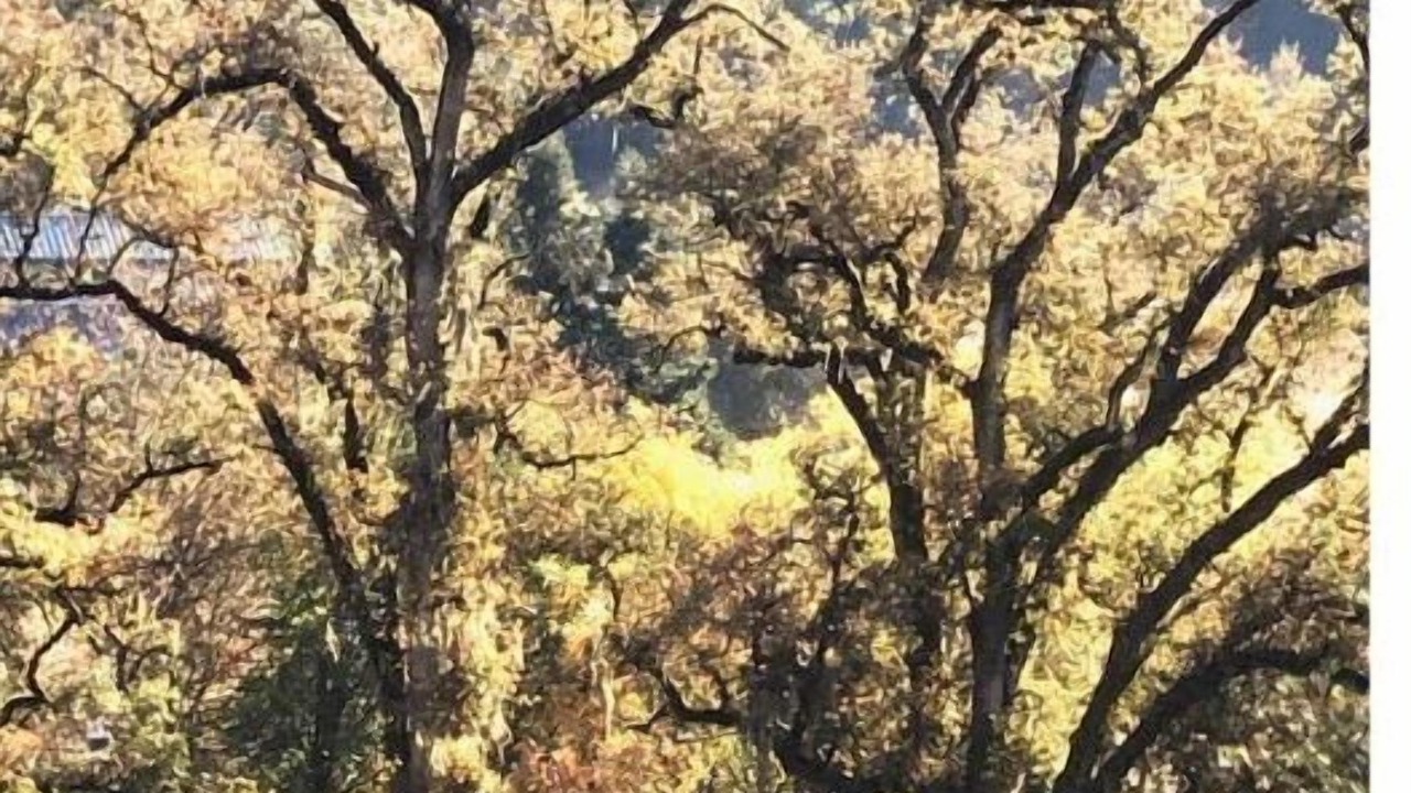 Photo of Outdoor in Alta Sierra