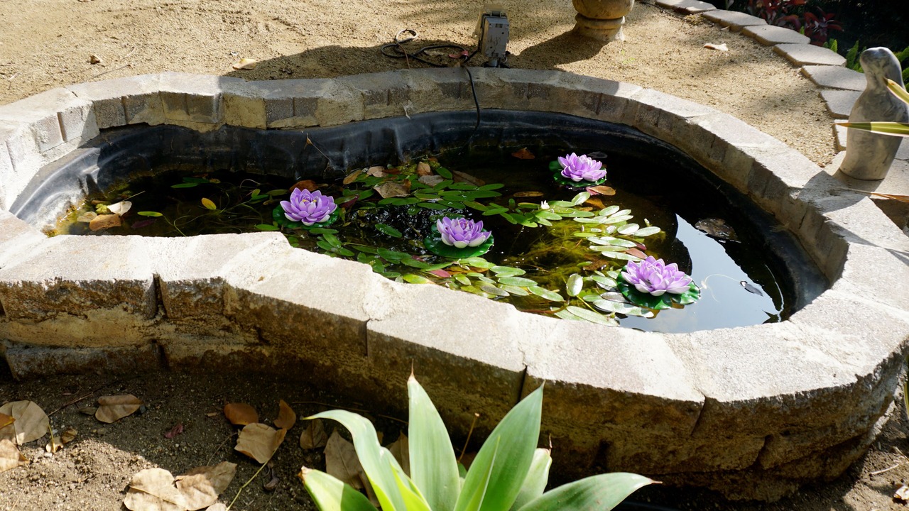 Photo of Outdoor in Los Feliz