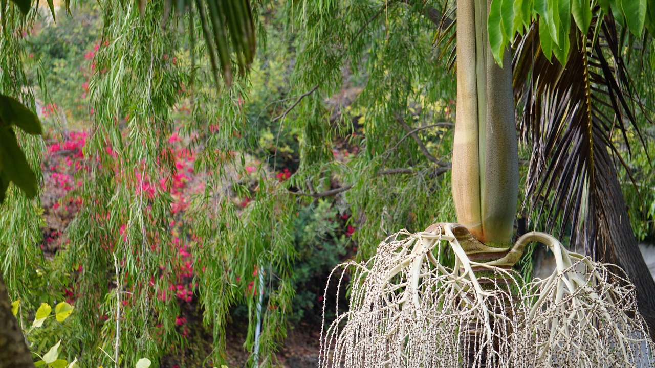 Photo of Outdoor in Los Feliz
