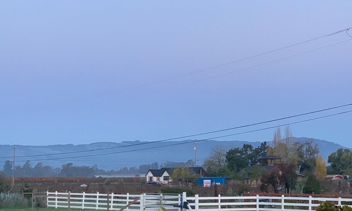Photo of Others in Sonoma