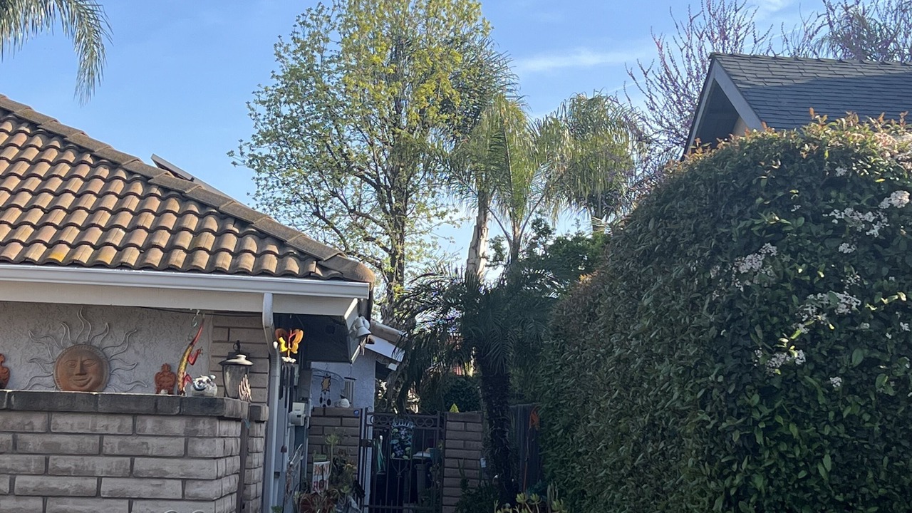Photo of Outdoor in Visalia