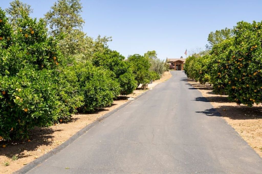 Photo of Others in Escondido