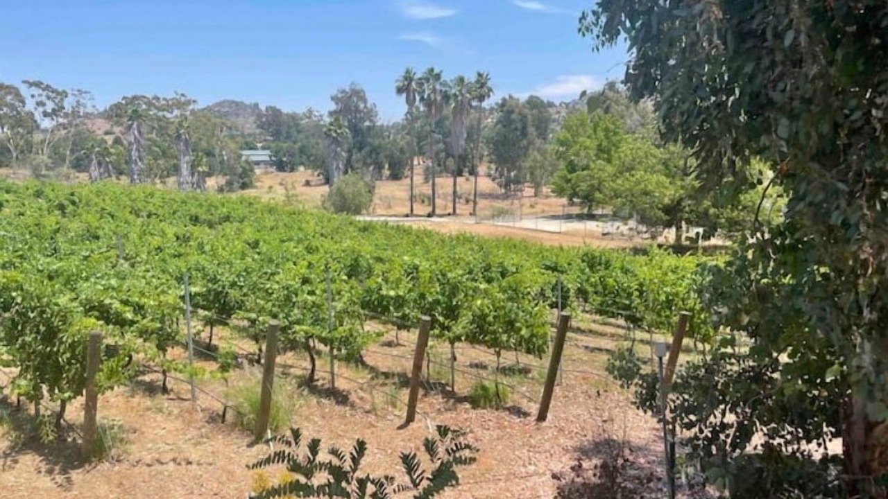 Photo of Outdoor in Escondido