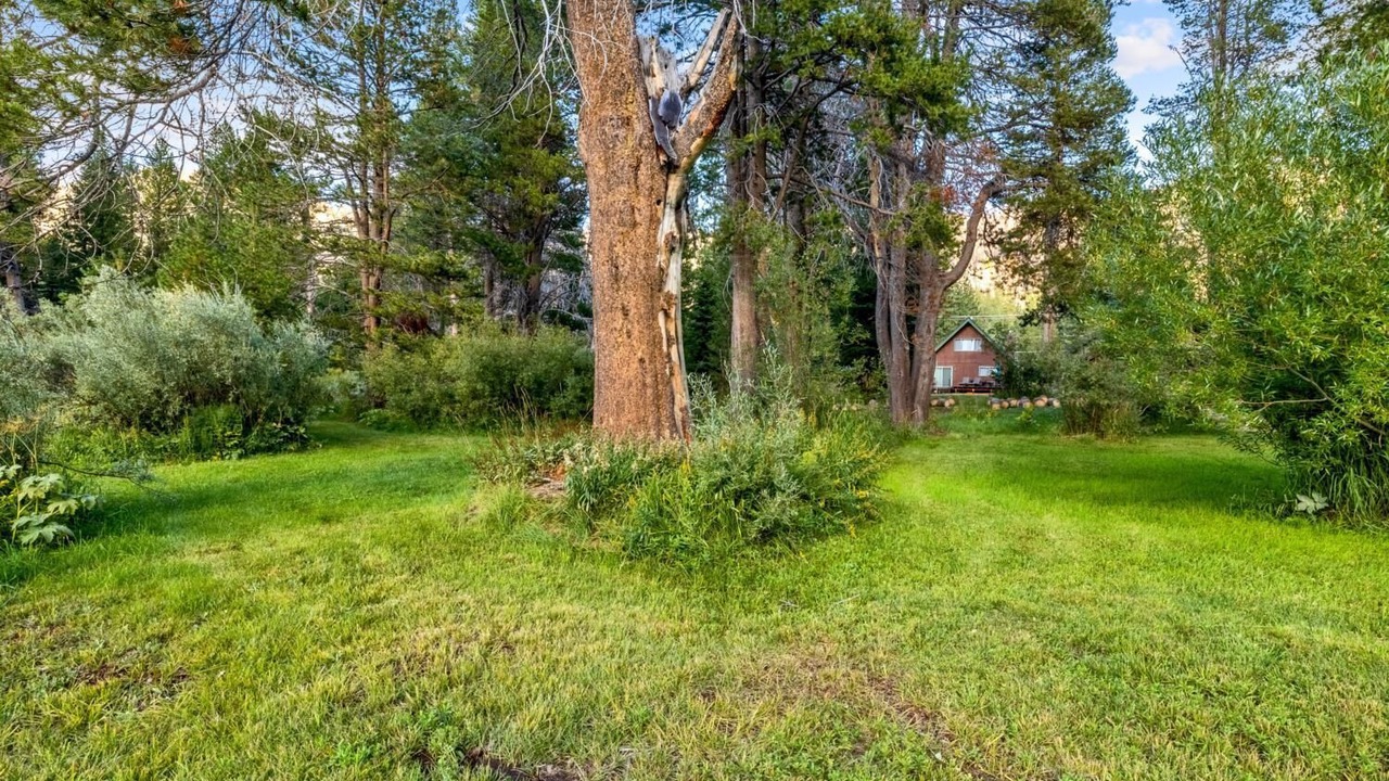 Photo of Outdoor in Christmas Valley