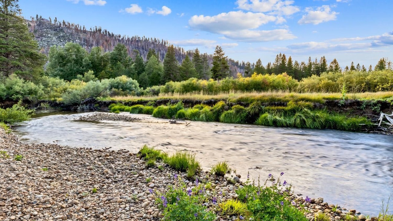 Photo of Outdoor in Christmas Valley