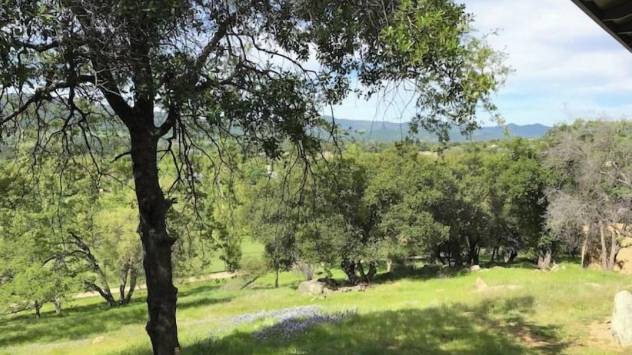 Photo of Outdoor in Angels Camp