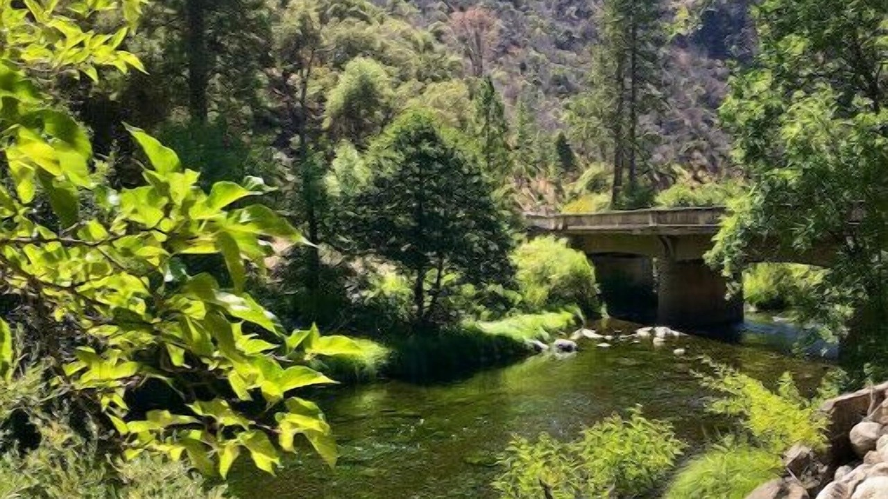Photo of Others in El Portal