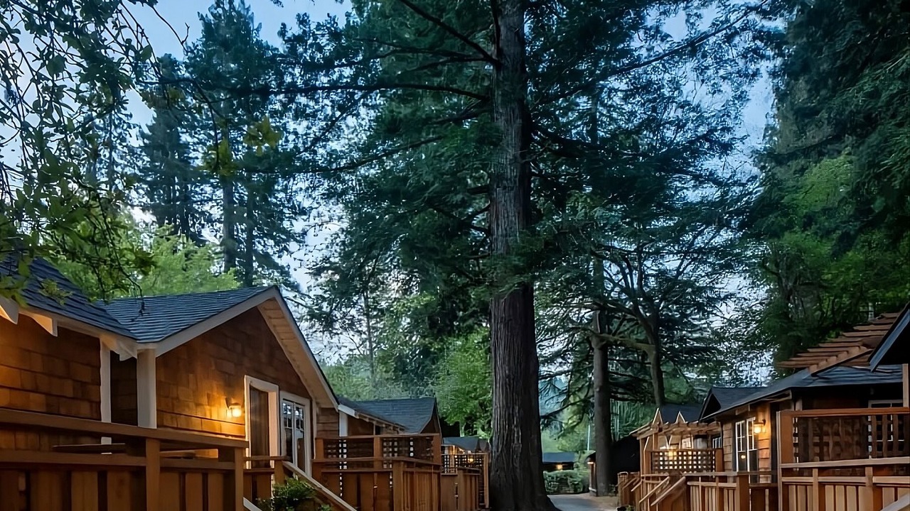 Photo of Outdoor in Guerneville