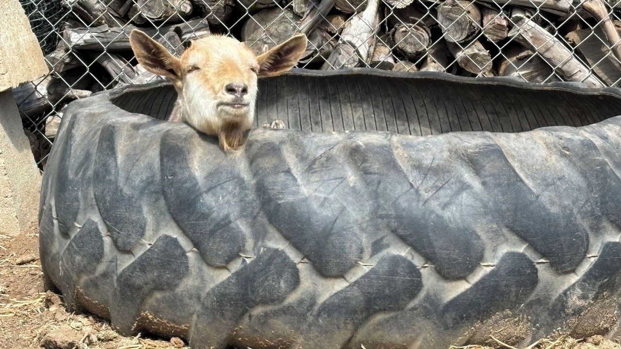 Photo of Others in Hemet