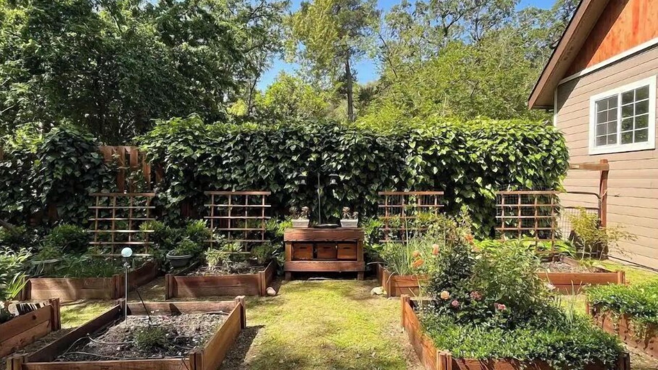 Photo of Outdoor in Placerville