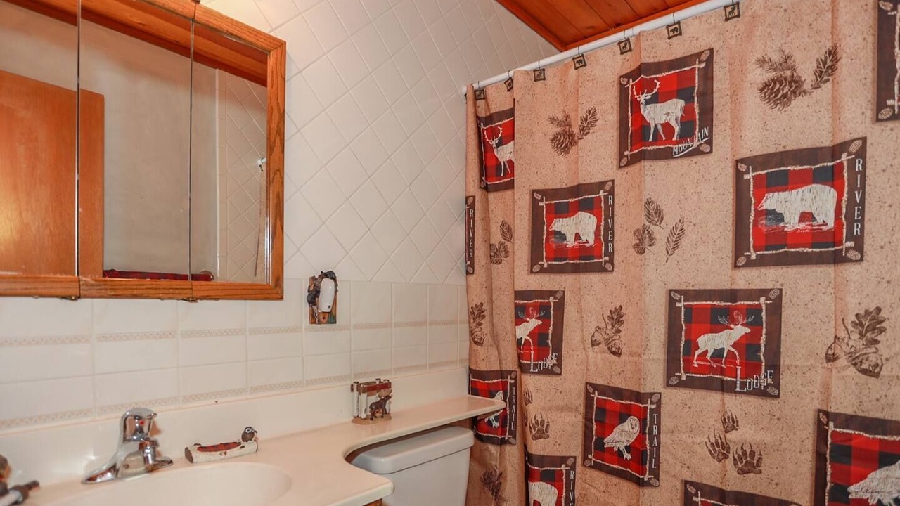 Photo of Bathroom in Big Bear