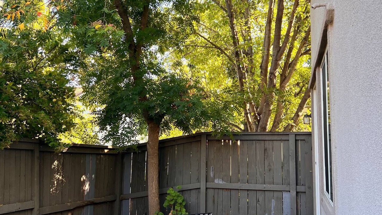 Photo of Outdoor in Regency Park
