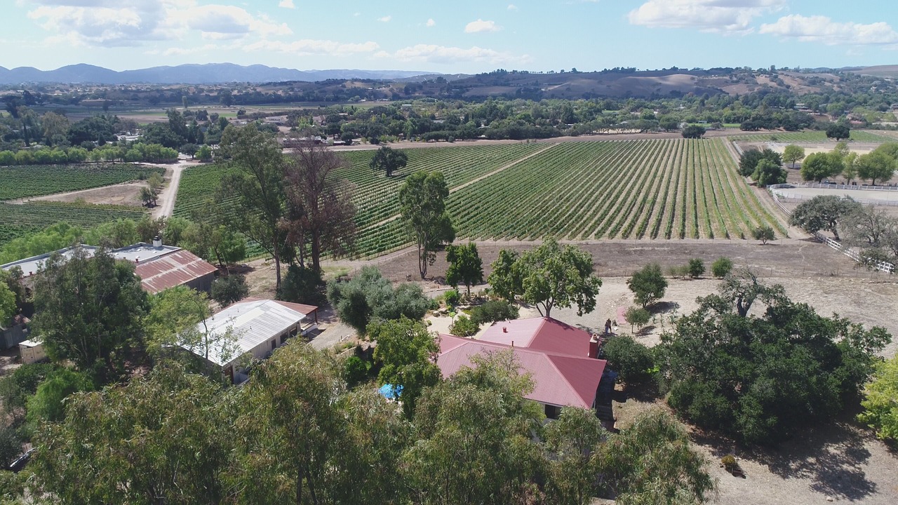 Photo of Outdoor in Santa Ynez