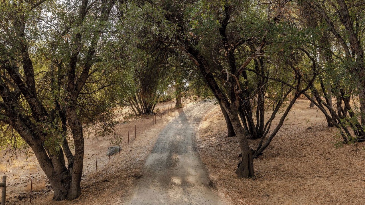 Photo of Others in Ahwahnee