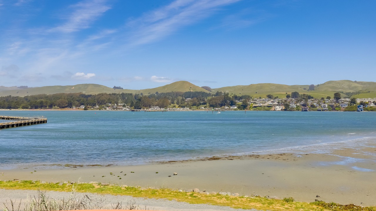 Photo of Others in Bodega Bay