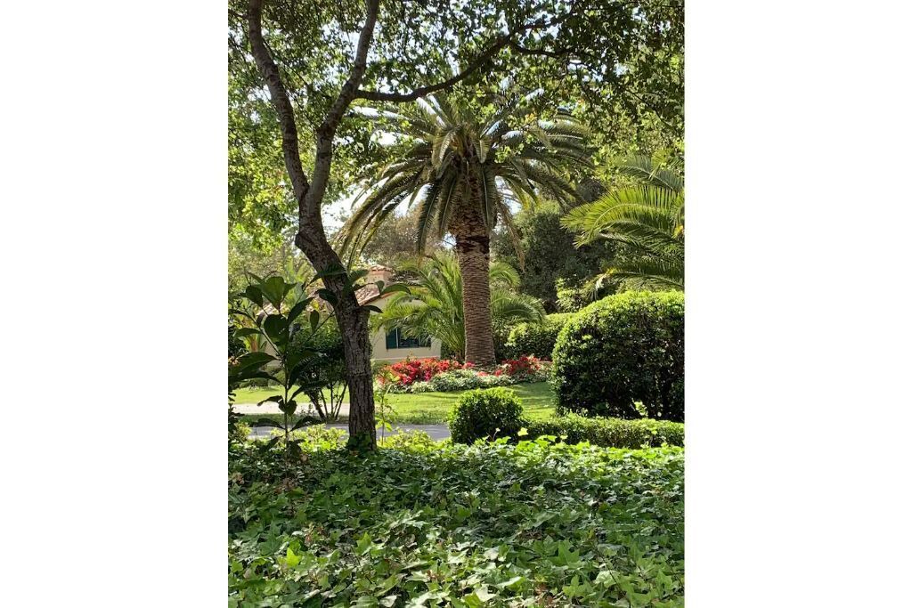 Photo of Outdoor in Toro Canyon