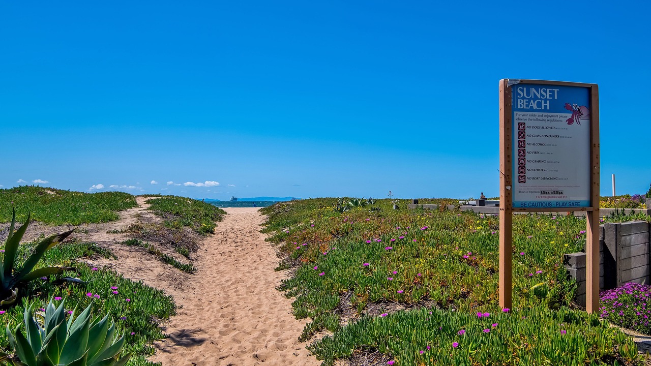 Photo of Outdoor in Sunset Beach