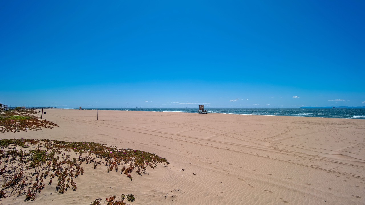 Photo of Others in Sunset Beach