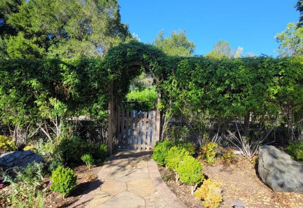 Photo of Outdoor in Los Altos Hills
