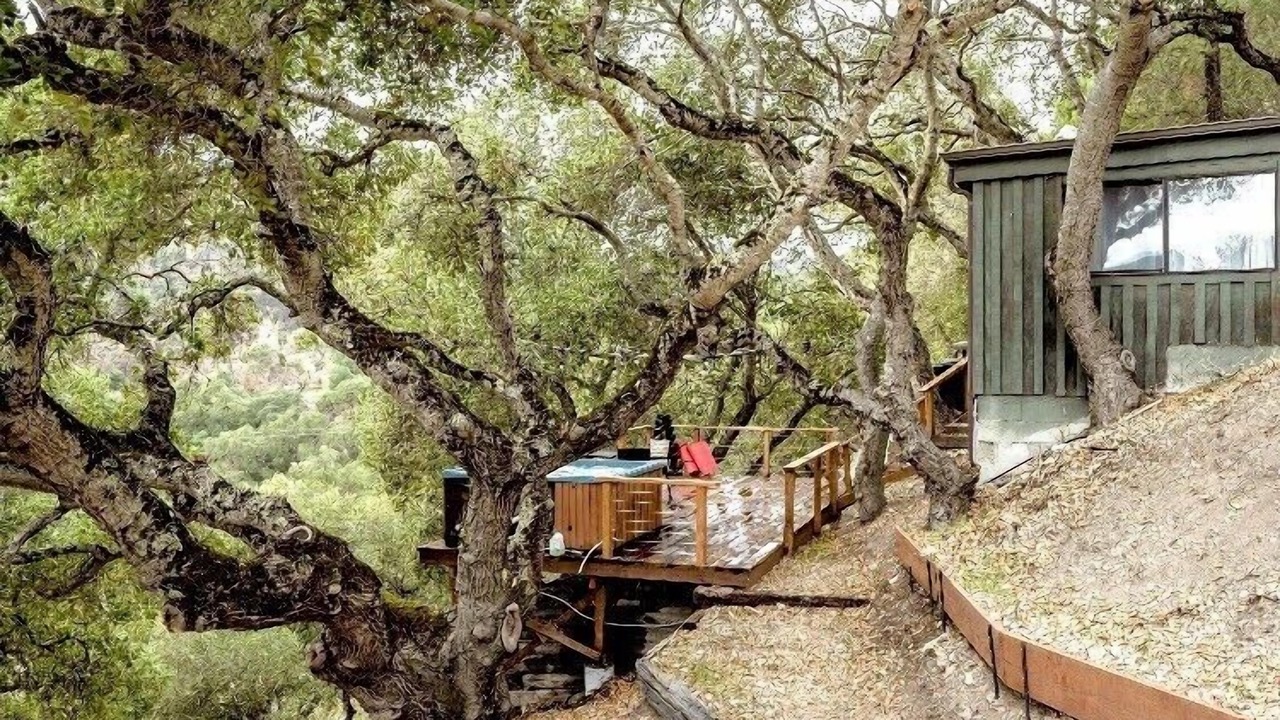 Photo of Outdoor in Carmel Valley