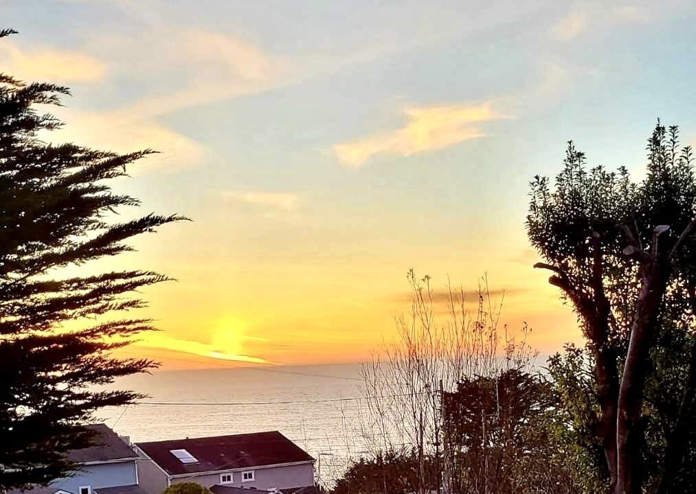 Photo of Others in Moss Beach