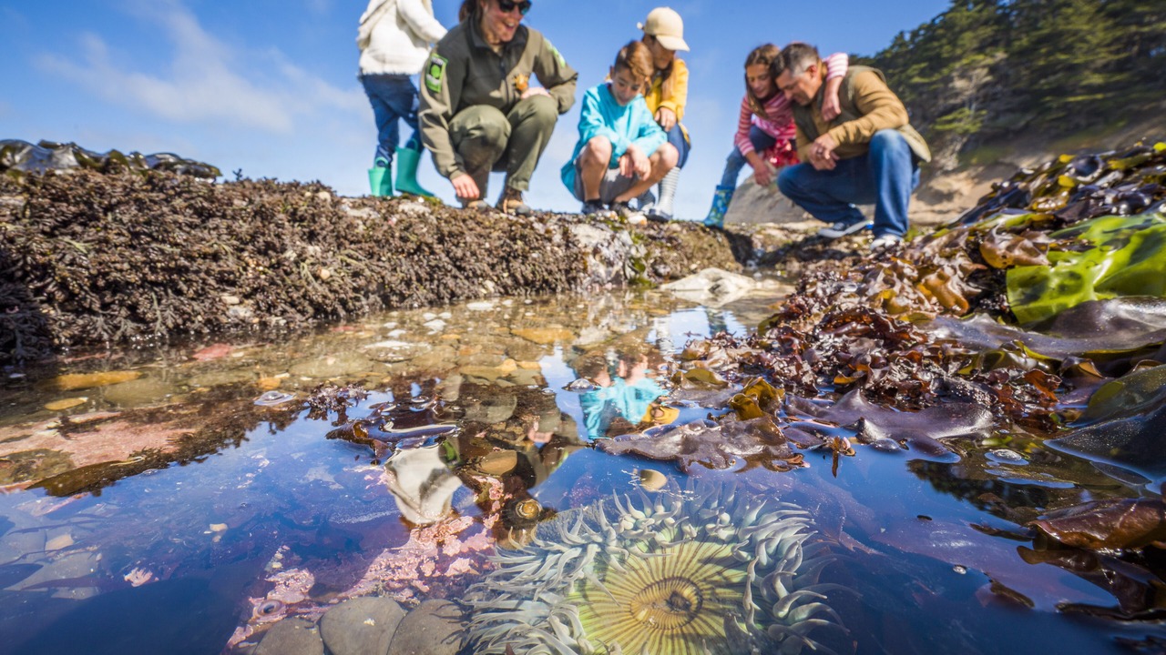 Photo of Others in Moss Beach