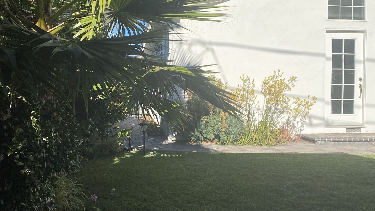 Photo of Others in West San Jose