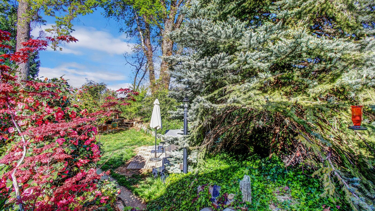 Photo of Outdoor in Grass Valley