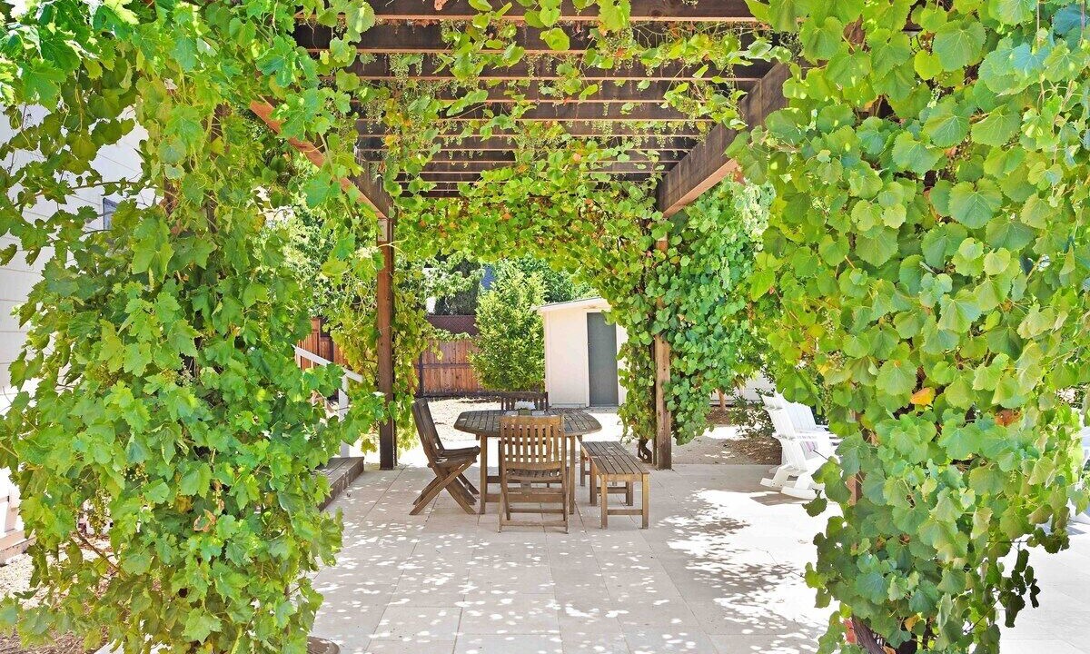 Photo of Outdoor in Sonoma